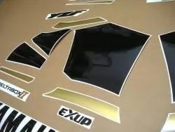 Yamaha YZF R1 2000 RN04 gold decals